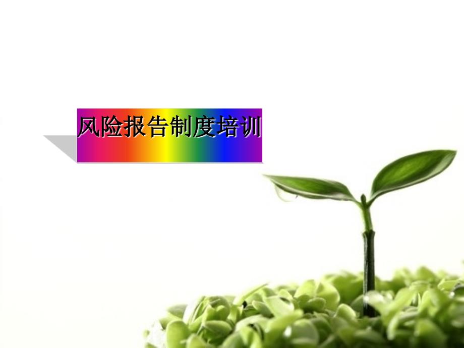 风险报告制度的主要内容与补充说明qxs_第1页