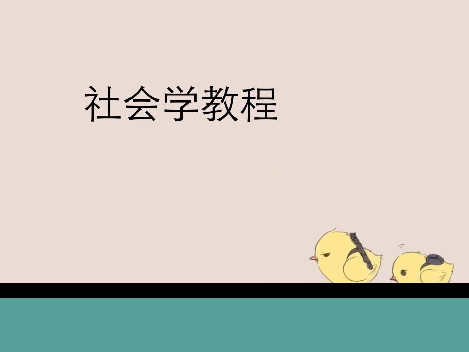 社会学第三章_第1页