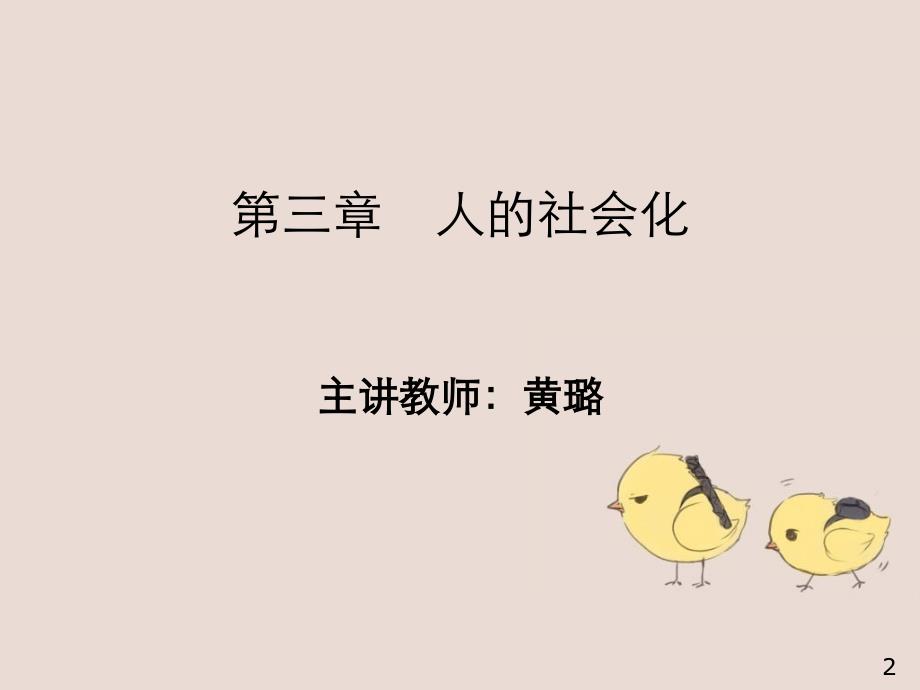 社会学第三章_第2页