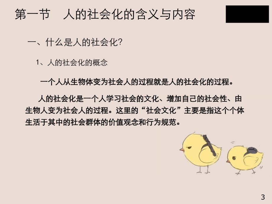 社会学第三章_第3页