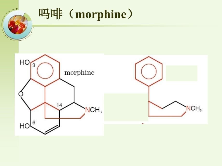 第二十一章镇痛药analgesics_第5页