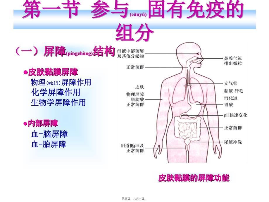 医学专题—第13章-固有免疫与抗感染免疫3498_第4页