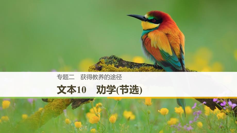 （浙江专用）2018-2019版高中语文 专题二 获得教养的途径 文本10 劝学(节选)课件 苏教版必修1_第1页