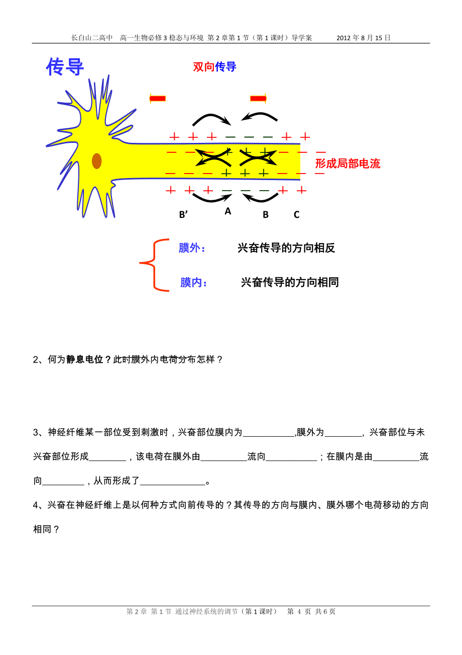 第2章第2节 通过神经系统的调节第1课时导学案_第4页