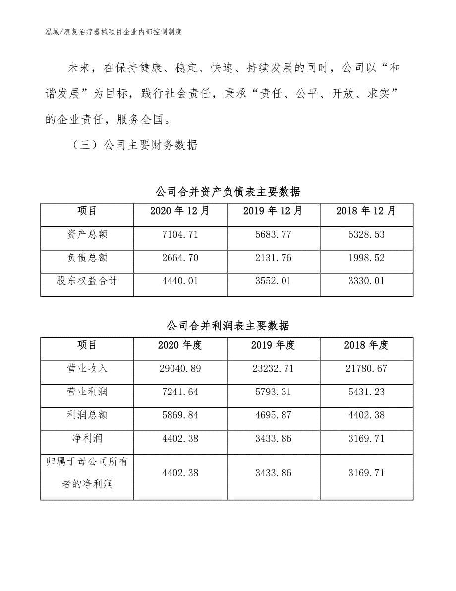 康复治疗器械项目企业内部控制制度_第5页