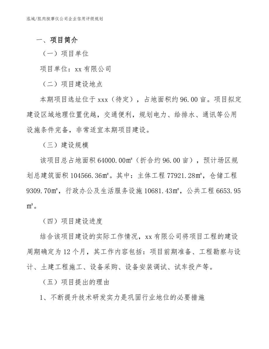 肌肉按摩仪公司企业信用评级规划_范文_第3页