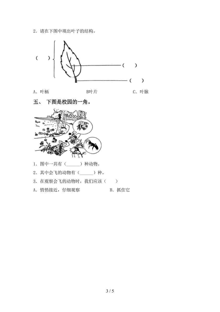 2022-2023年人教版一年级科学下册期中考试卷及答案【推荐】.doc_第3页