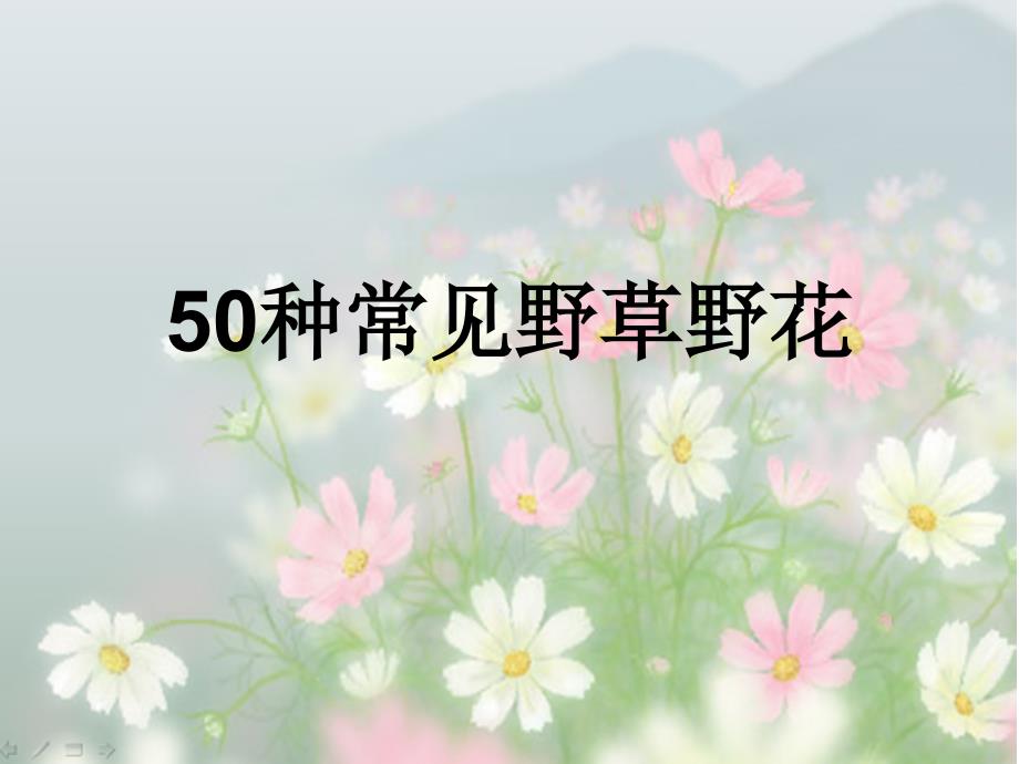 50种常见野花野草_第1页