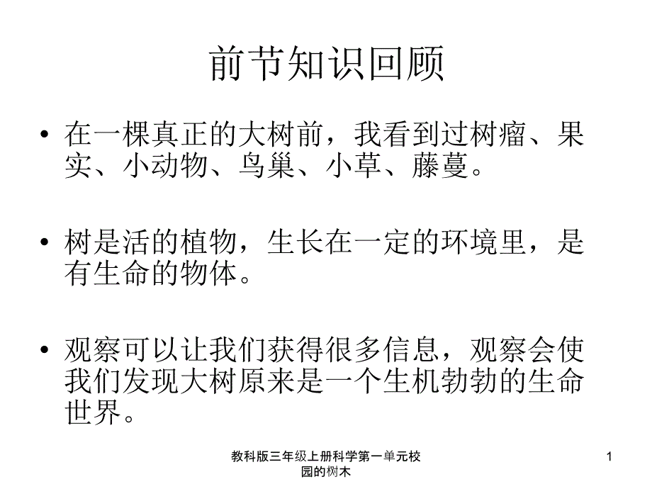 教科版三年级上册科学第一单元校园的树木课件_第1页