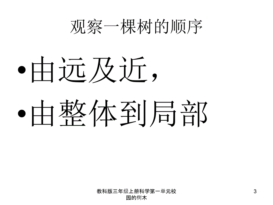 教科版三年级上册科学第一单元校园的树木课件_第3页