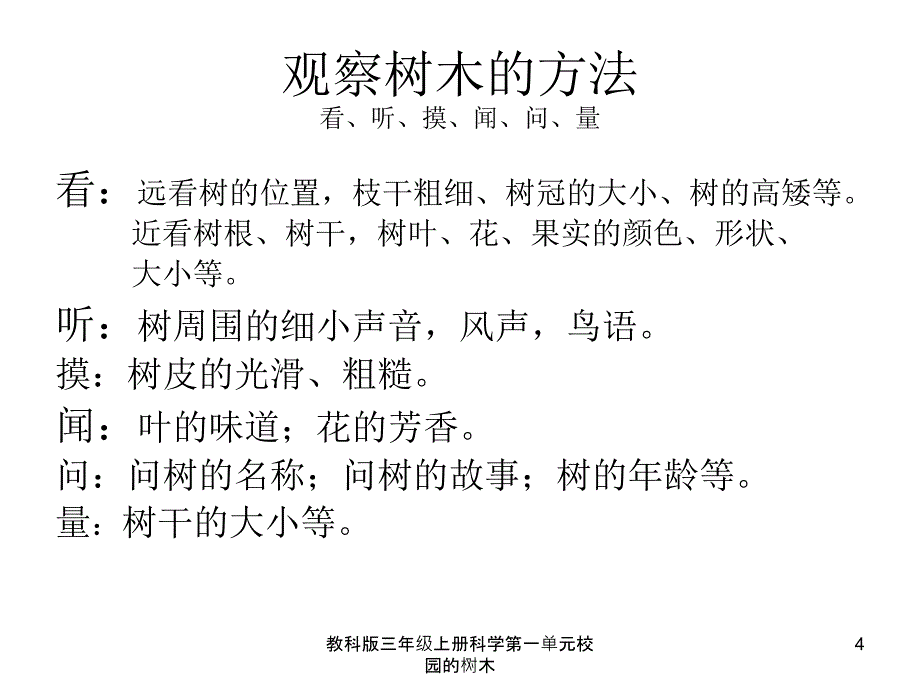 教科版三年级上册科学第一单元校园的树木课件_第4页