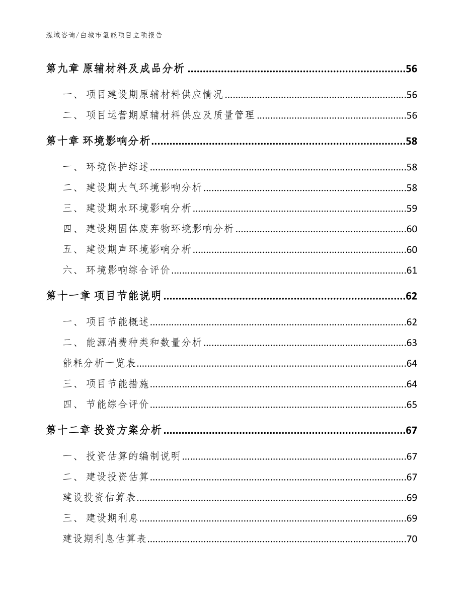 白城市氢能项目立项报告（模板范本）_第3页