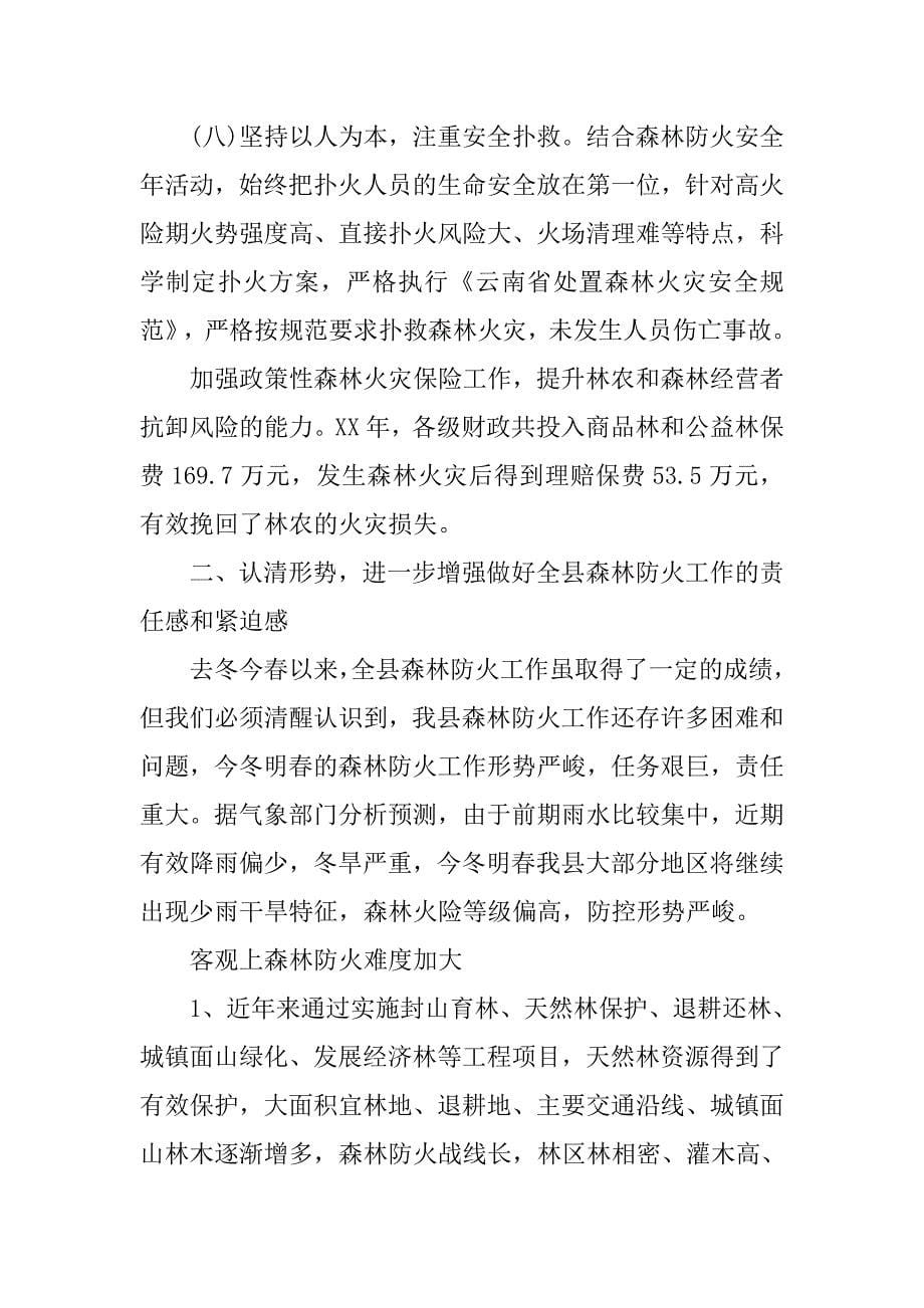 副县长在全县森林防火工作会议上的讲话.docx_第5页