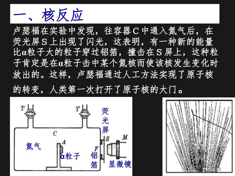 放射性的应用与防护(课堂PPT)_第2页