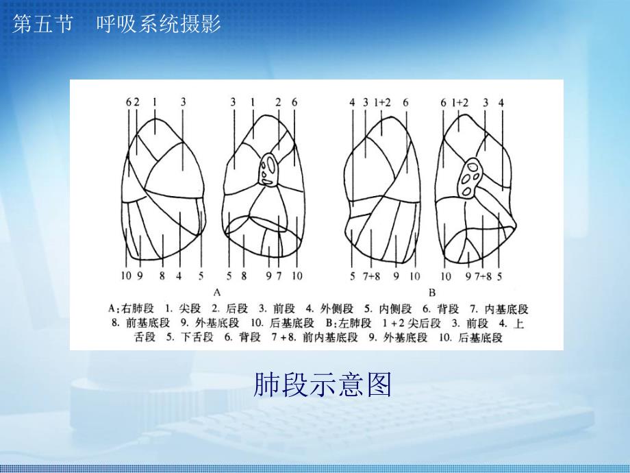 标准放射x线拍摄体位呼吸系统_第4页