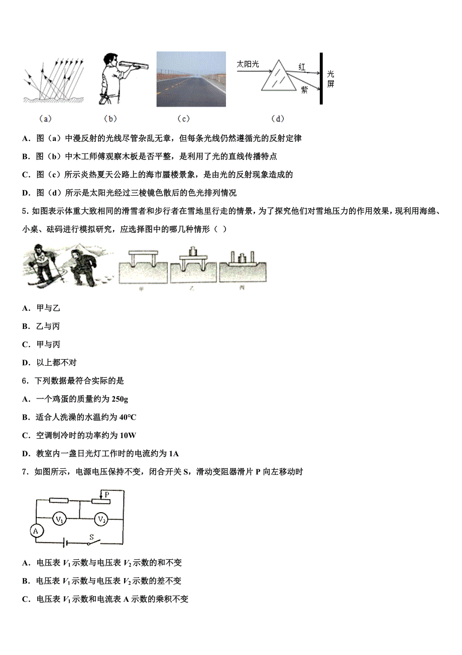 山东省青岛大附属中学2022-2023学年中考物理适应性模拟试题含解析_第2页