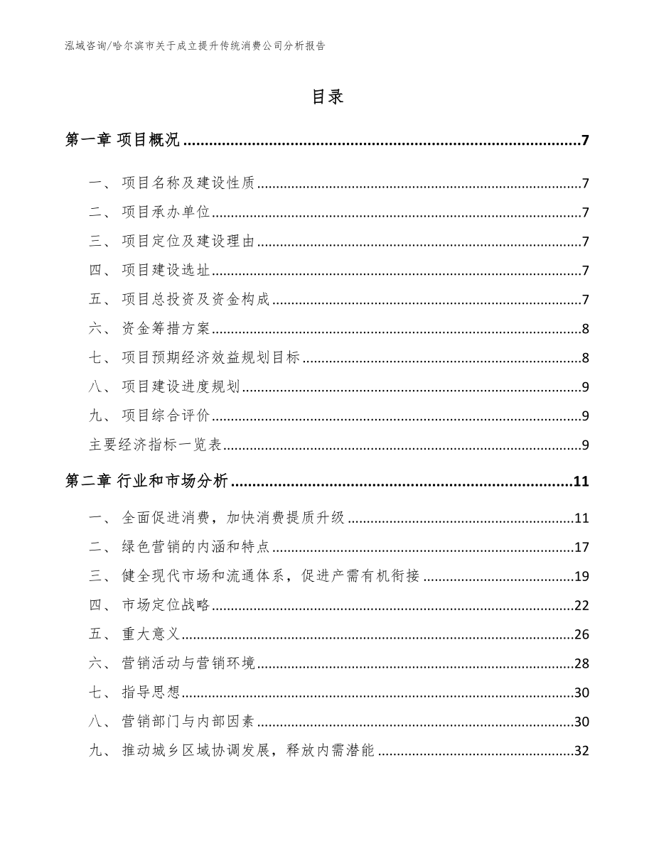 哈尔滨市关于成立提升传统消费公司分析报告（范文参考）_第2页