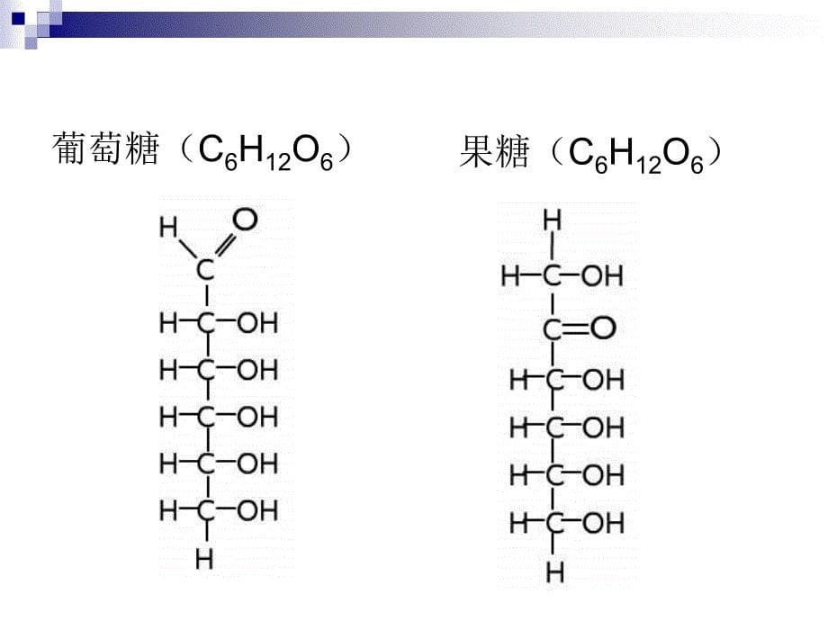 基本营养物质_第5页