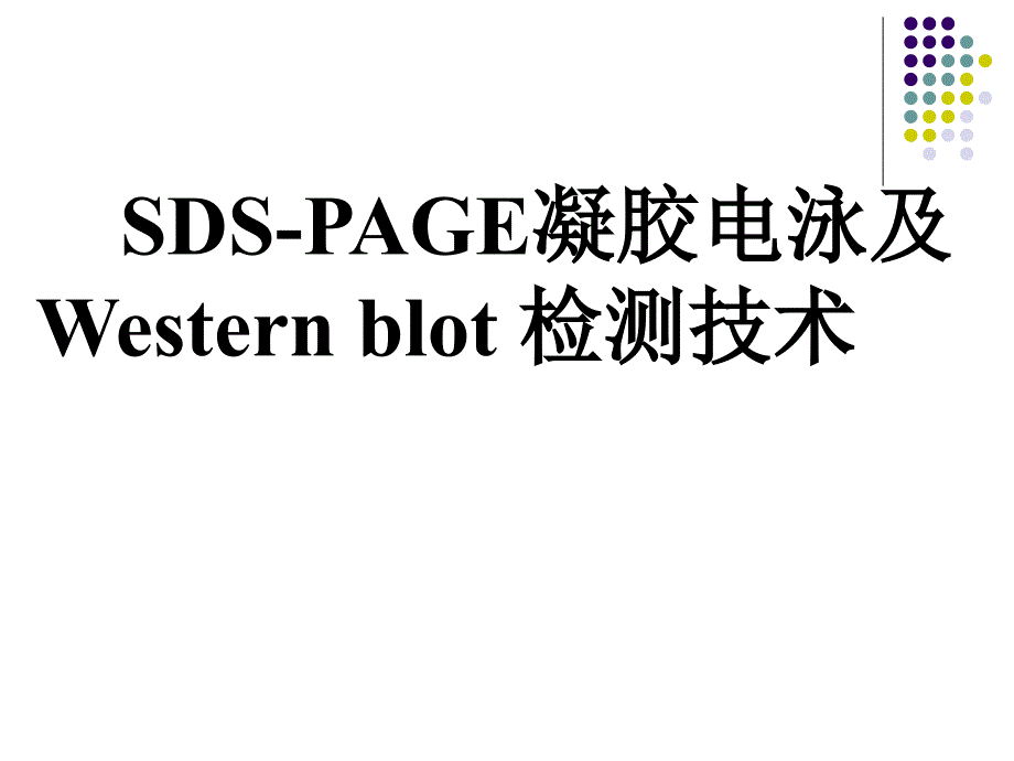 SDSPAGE凝胶电泳nWesternblot_第1页