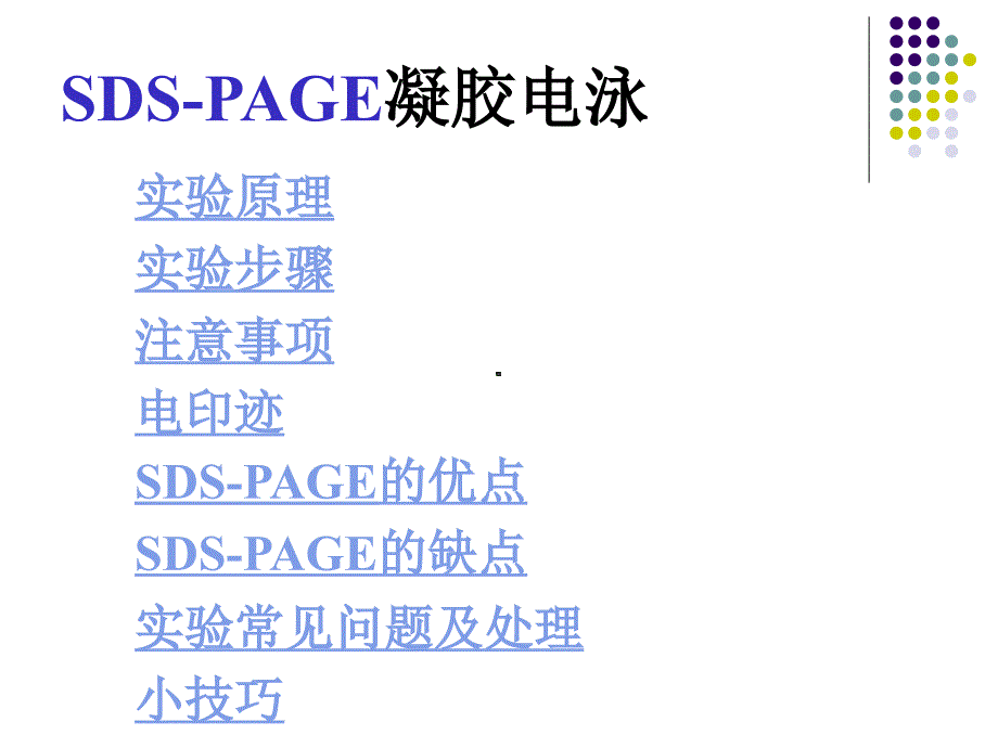 SDSPAGE凝胶电泳nWesternblot_第2页