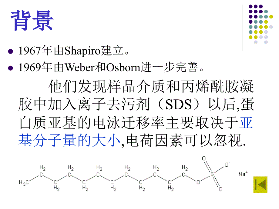 SDSPAGE凝胶电泳nWesternblot_第4页