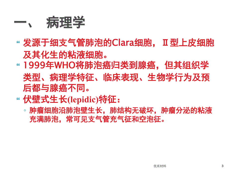 肺泡癌影像诊断优质借鉴_第3页