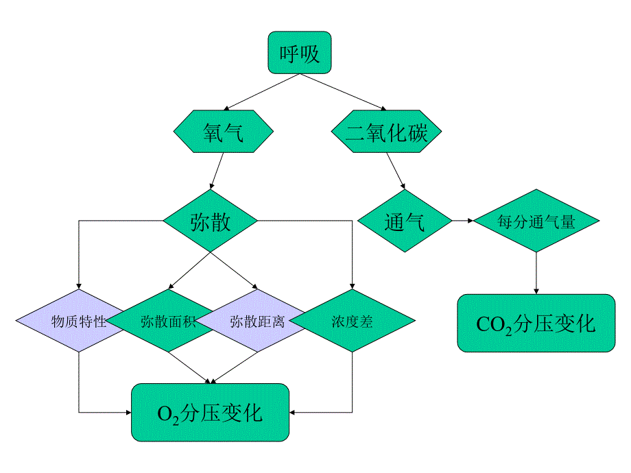 呼吸机临床应用ppt_第3页