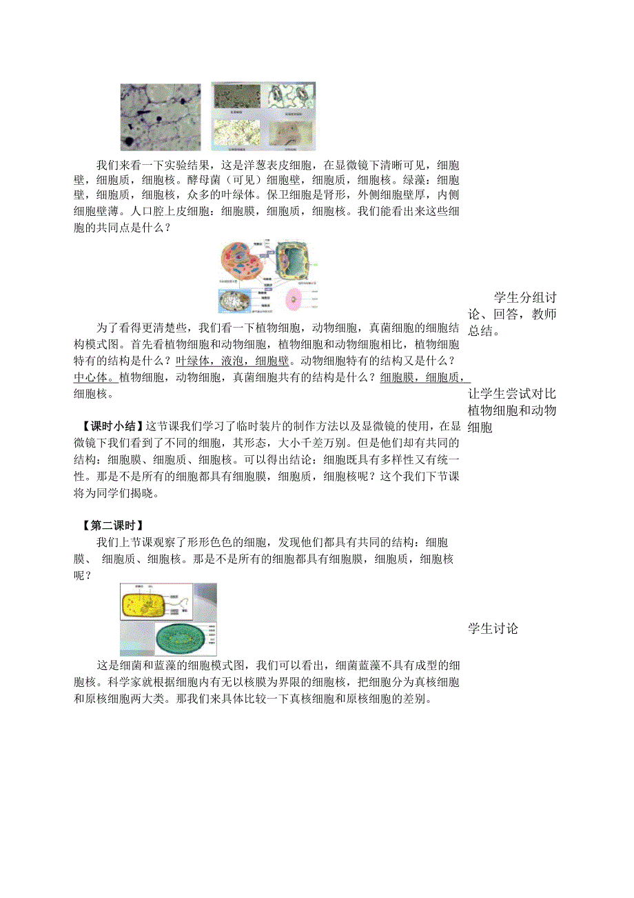 细胞的多样性和统一性_第3页