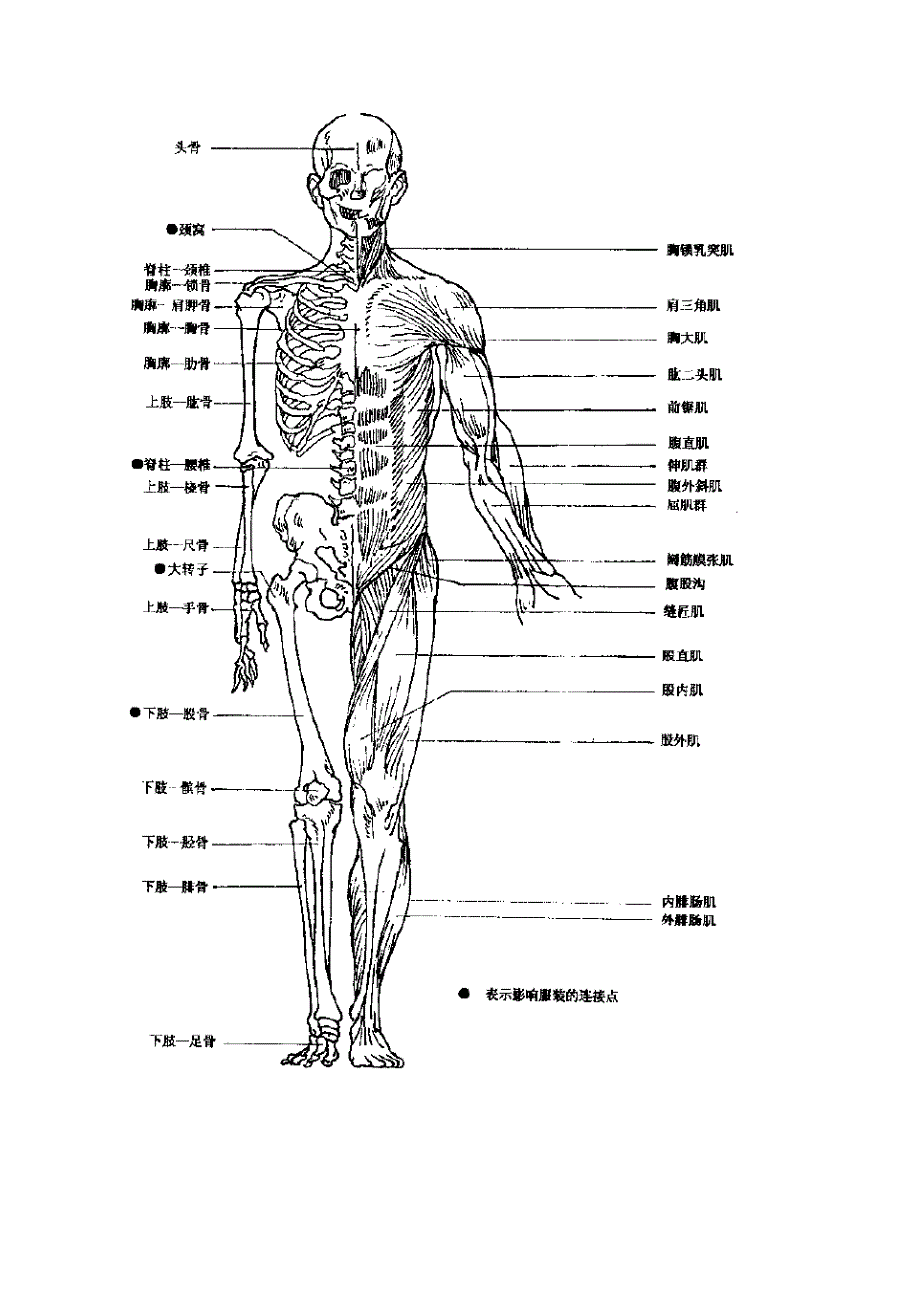 人体与服装英语.doc_第3页