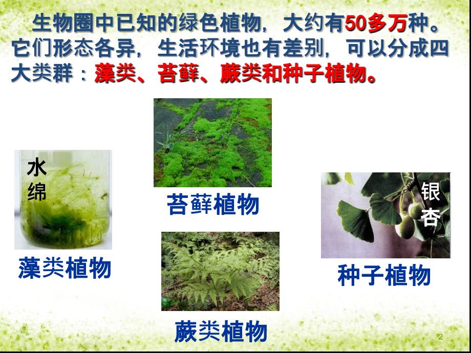 藻类苔藓与蕨类植物PPT课件_第2页