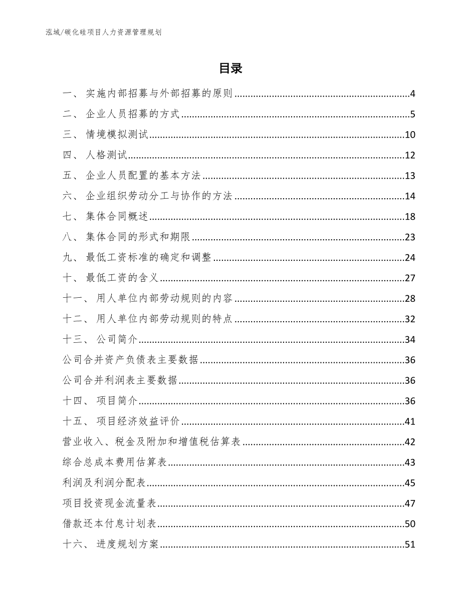 碳化硅项目人力资源管理规划_参考_第2页