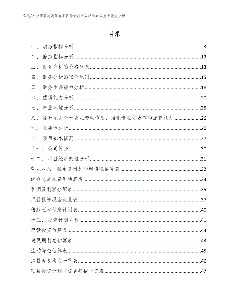 产业园区功能配套项目偿债能力分析和财务生存能力分析_第2页