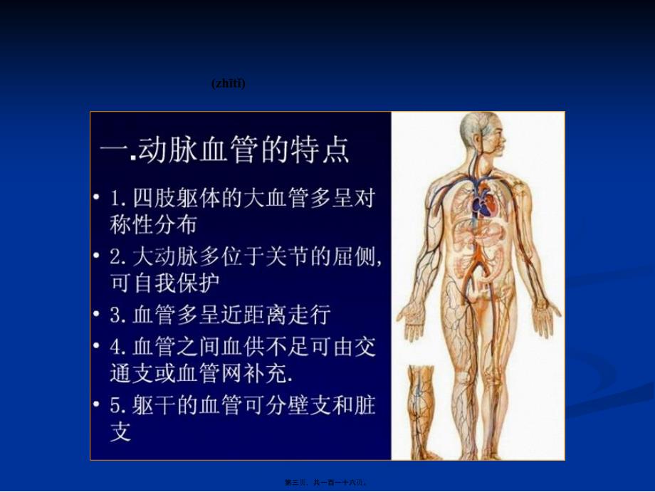 医学专题—周围血管超声检查_第3页