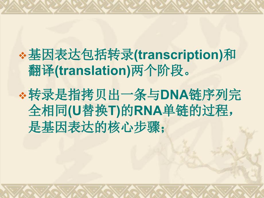 分子生物学第三章生物信息的传递上课件_第3页