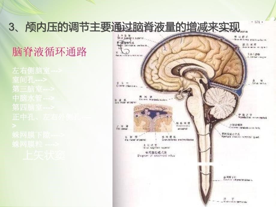 脑外科常见引流管的护理(全)_第5页