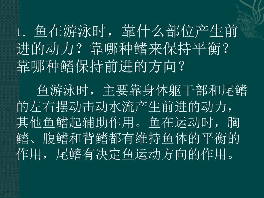 苏科版七年级下生物：（2013年春使用）《第十章第一节水中的动物》课件1_第5页