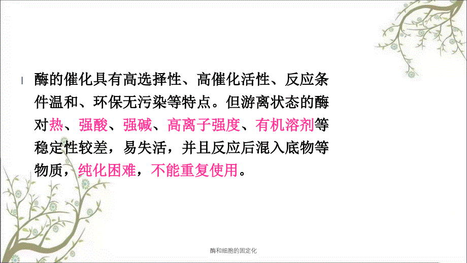 酶和细胞的固定化课件_第2页