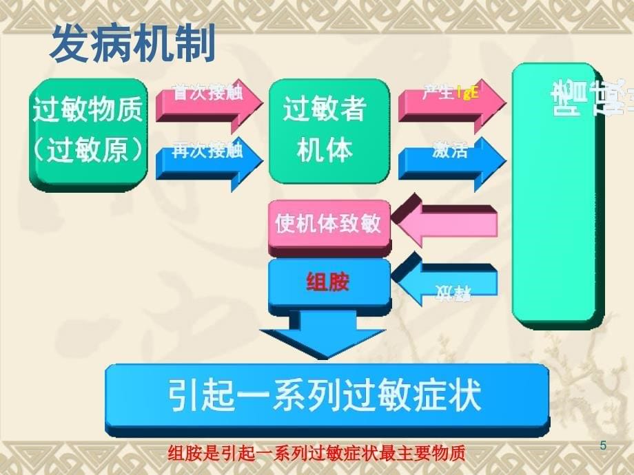 过敏性鼻炎的中西医诊治进展PPT课件_第5页