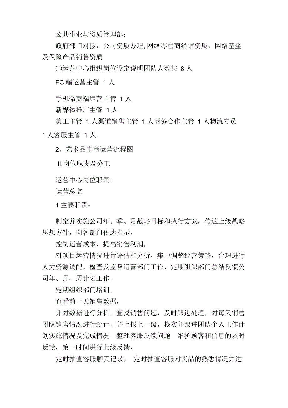 电商运营实施方案计划书_第2页