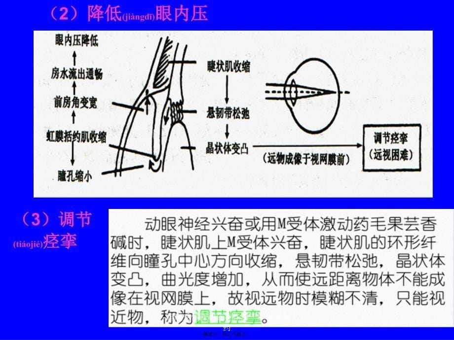 胆碱受体激动药和作用于胆碱酯酶药_第5页