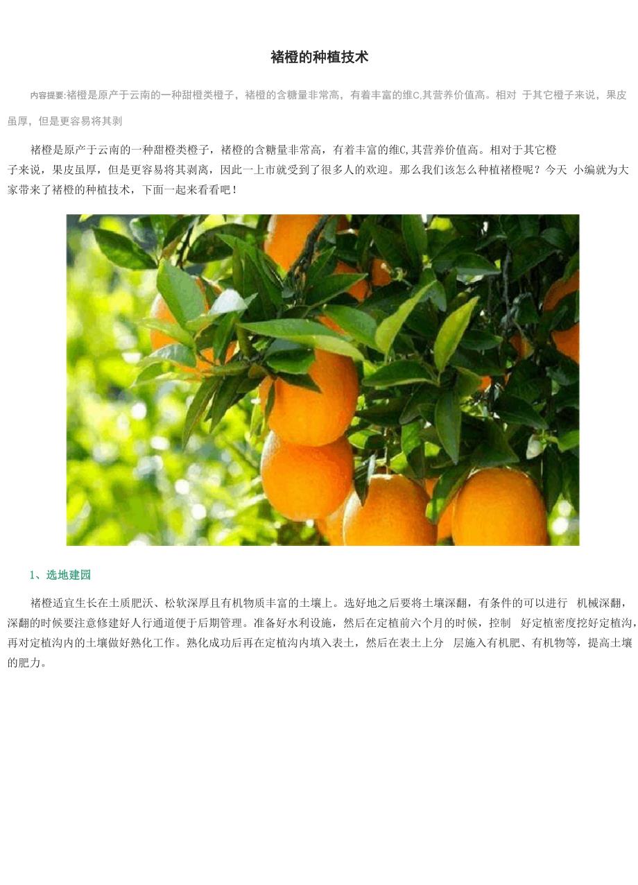 褚橙的种植技术_第1页