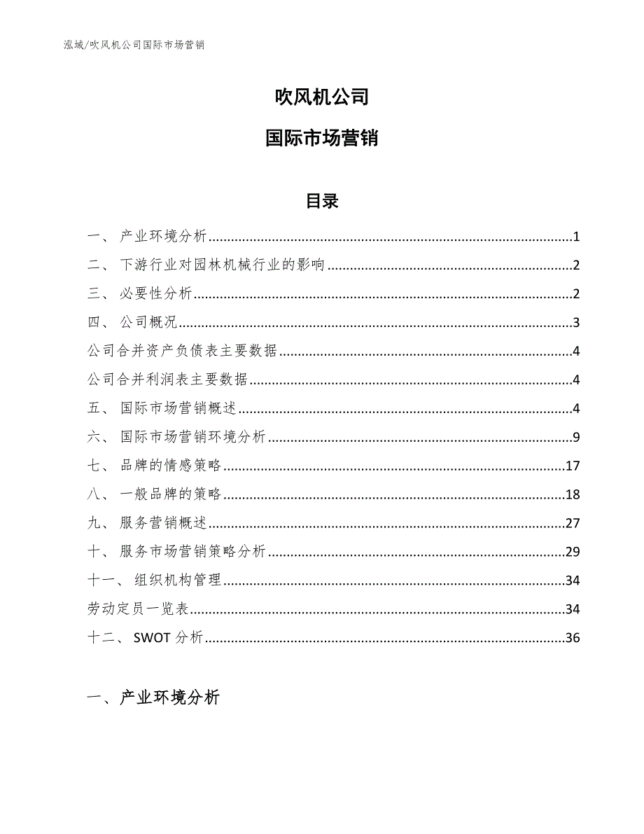 吹风机公司国际市场营销【参考】_第1页