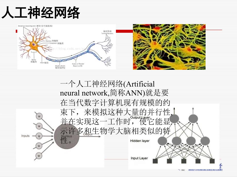 第一部分计算机网络知识_第4页