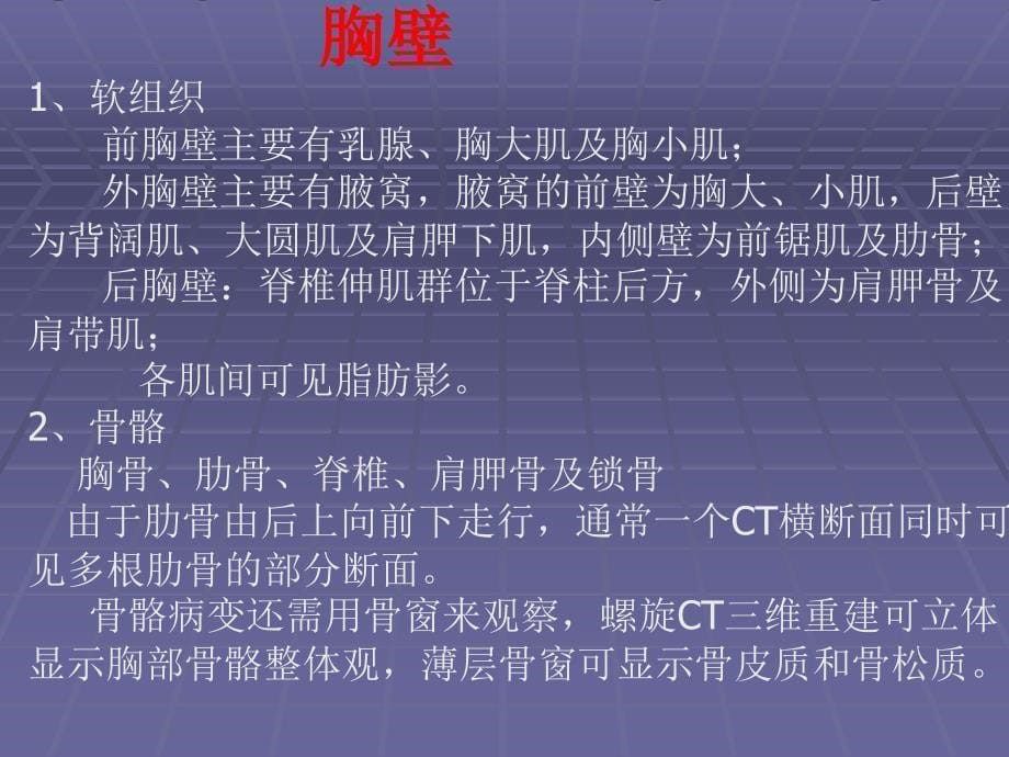 正常胸肺部CT影像学表现_第5页