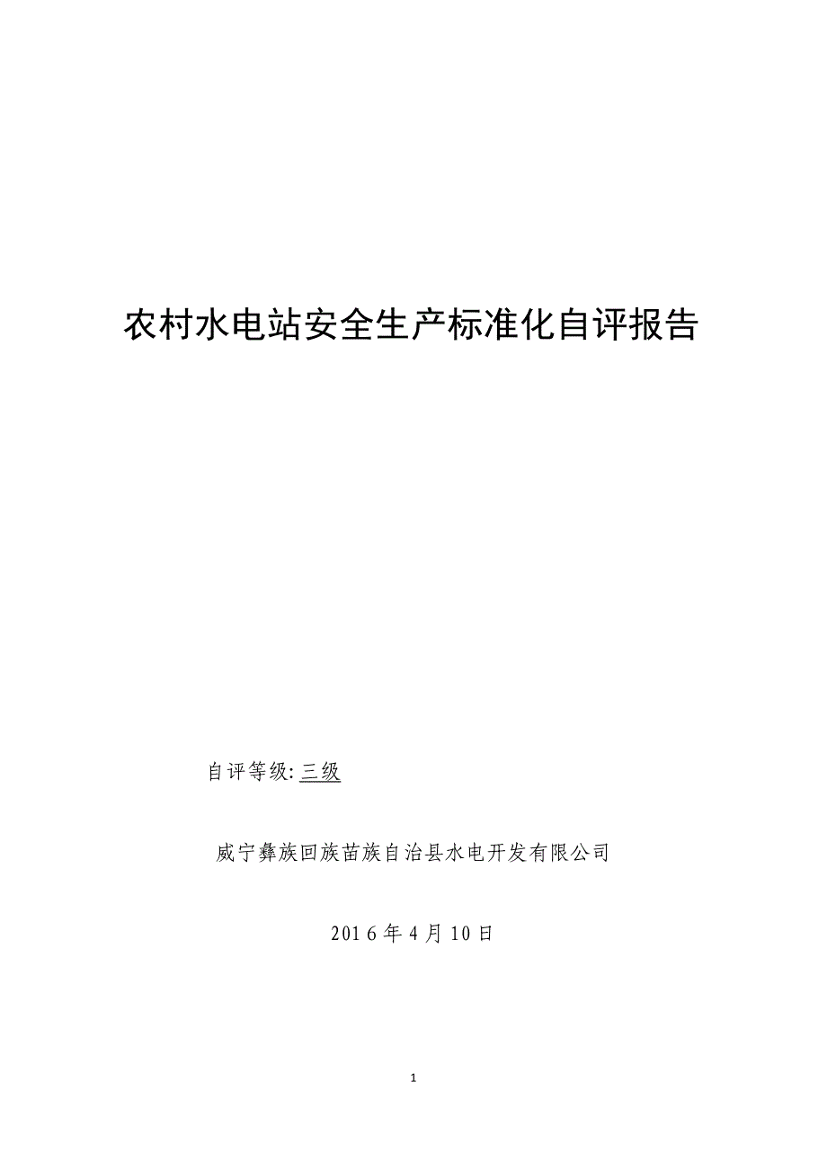 乐溪水电站安全生产标准化自评报告可编辑范本_第1页