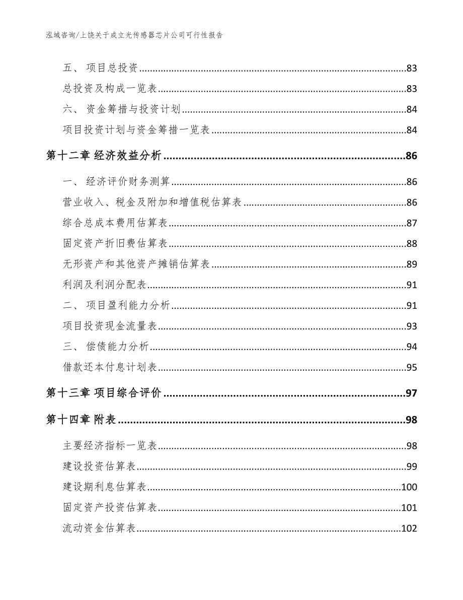 上饶关于成立光传感器芯片公司可行性报告（模板）_第5页