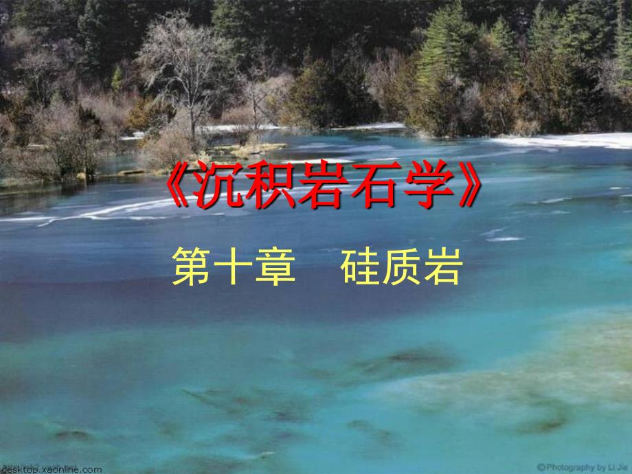 10硅质岩及其它岩类_第1页