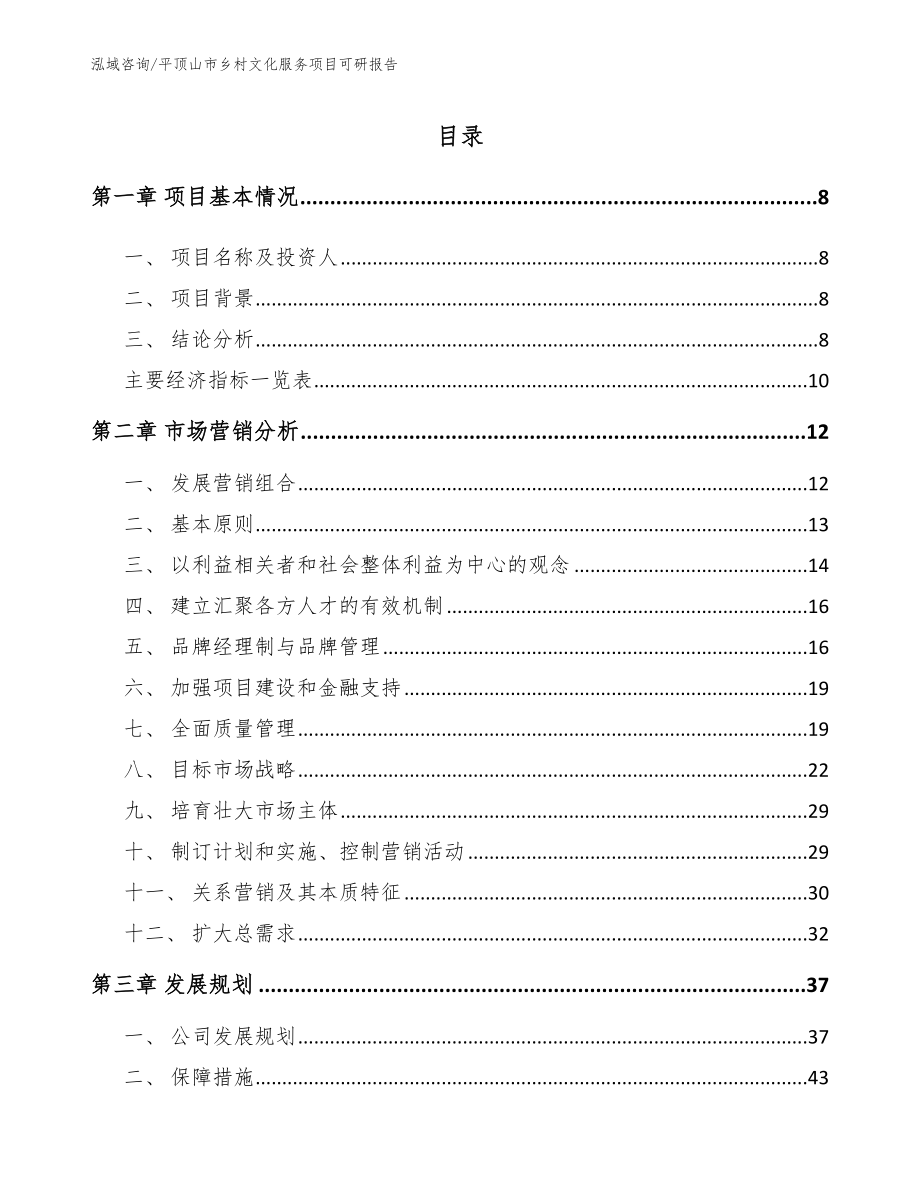 平顶山市乡村文化服务项目可研报告（范文参考）_第2页