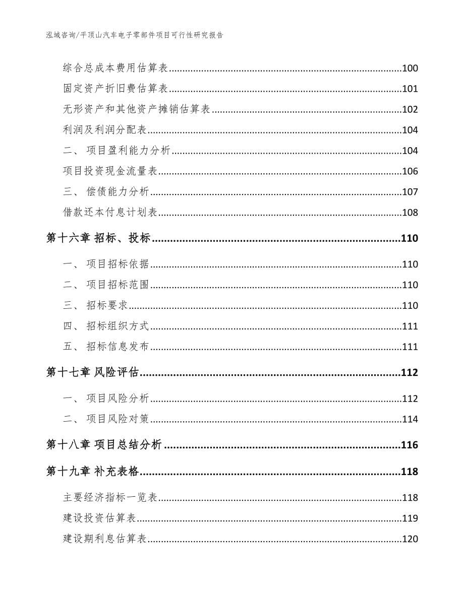 平顶山汽车电子零部件项目可行性研究报告模板范本_第5页