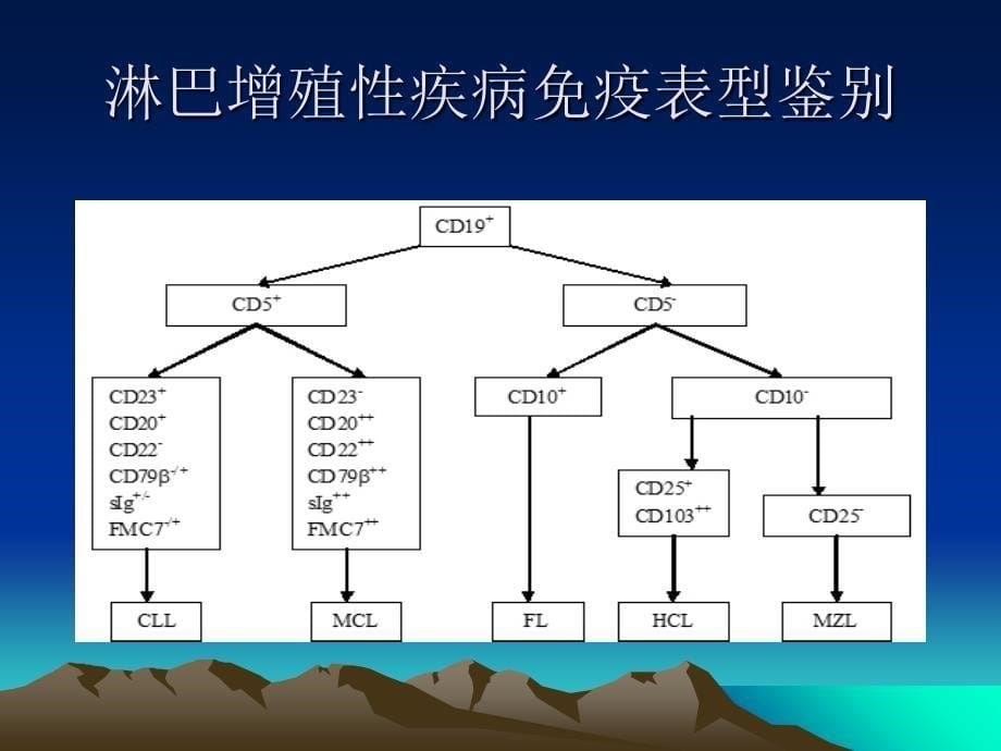 CLL诊断治疗PPT课件_第5页